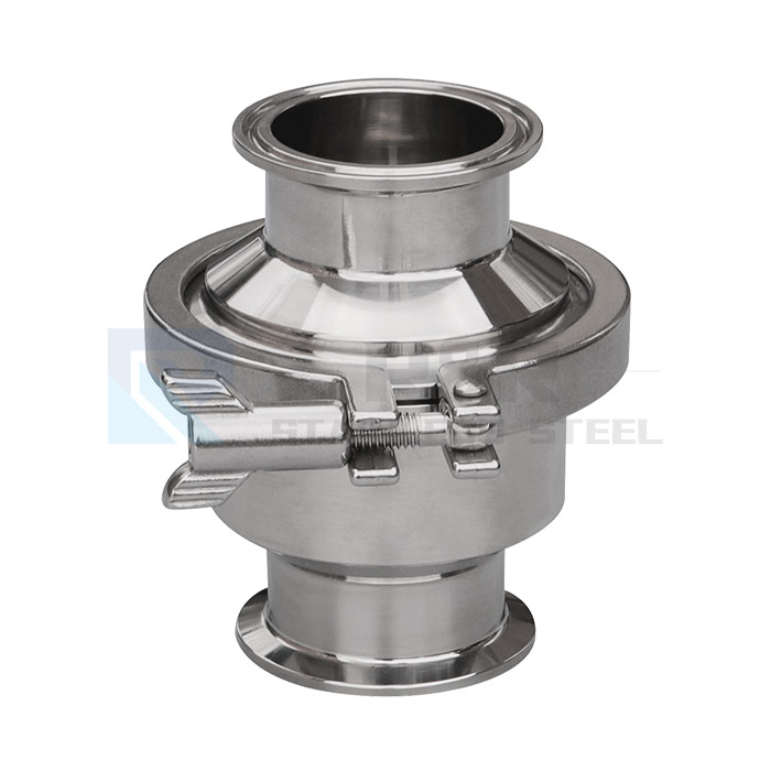 Quick install check valve 