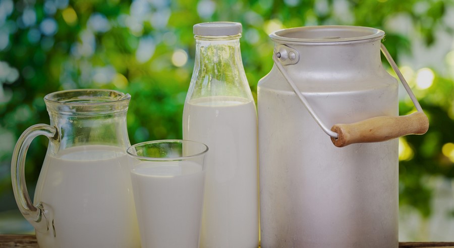 Dairy engineering
